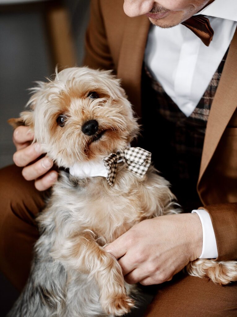 Vuestra mascota en la boda