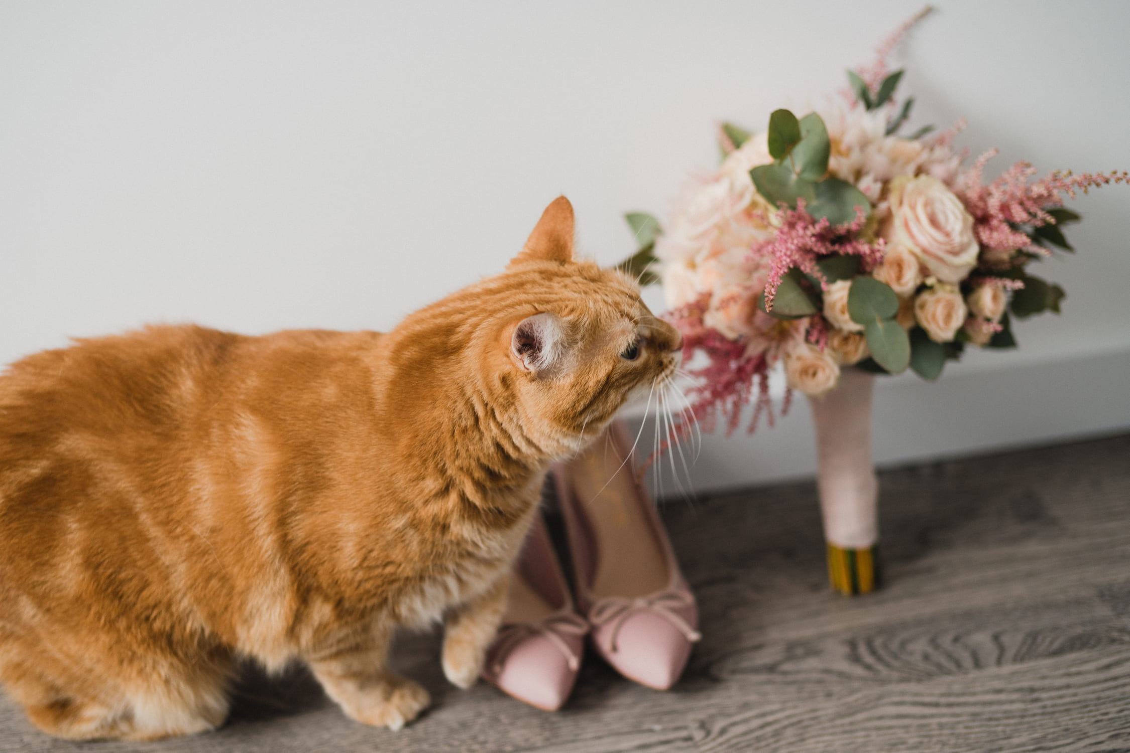 Vuestra mascota en la boda